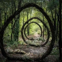 forest-sculptures