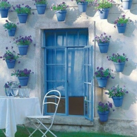 blue windows and pots