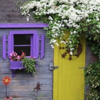 colorful-cottage-door-and-window