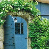 double-blue-cottage-doors