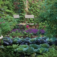 beautiful-kitchen-garden