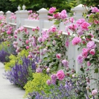picket-fence-with-colorful-flowers