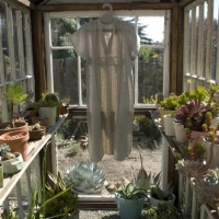 Greenhouse from old windows
