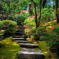 path-through-the-garden