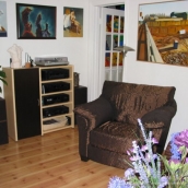 Stereo cabinet and plush chair