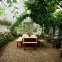 greenhouse-as-dining-room