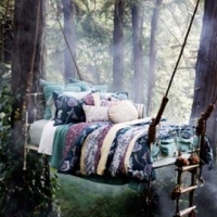 sweet-dreams-in-the-forest